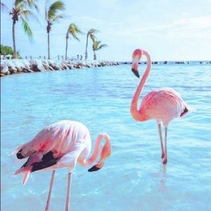 Meet your Posher, Alayna